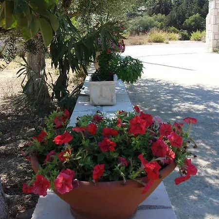 Kapnisi Vasilikos (Zakynthos)